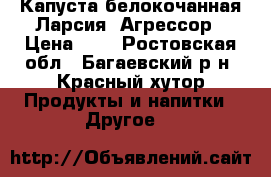 Капуста белокочанная Ларсия, Агрессор › Цена ­ 5 - Ростовская обл., Багаевский р-н, Красный хутор Продукты и напитки » Другое   